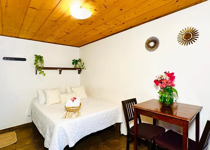 Cabo Bohemia Tropical Garden Apartment
