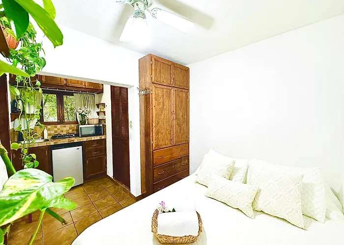 Apartment Cabo Bohemia Tropical Garden *