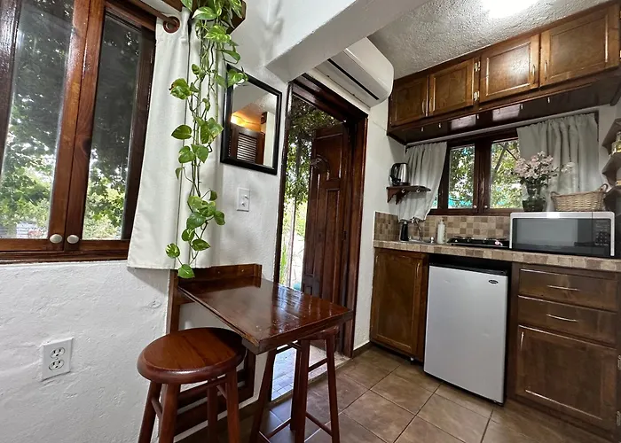 Cabo Bohemia Tropical Garden Apartment