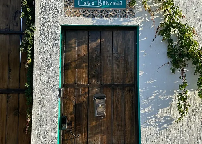 Cabo Bohemia Tropical Garden Apartment