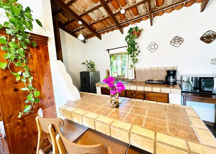 Apartment Cabo Bohemia Tropical Garden *