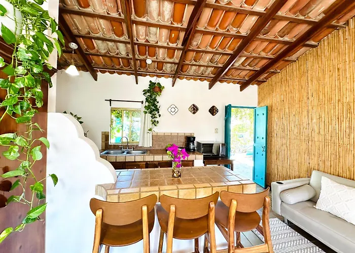 Cabo Bohemia Tropical Garden Apartment Cabo San Lucas