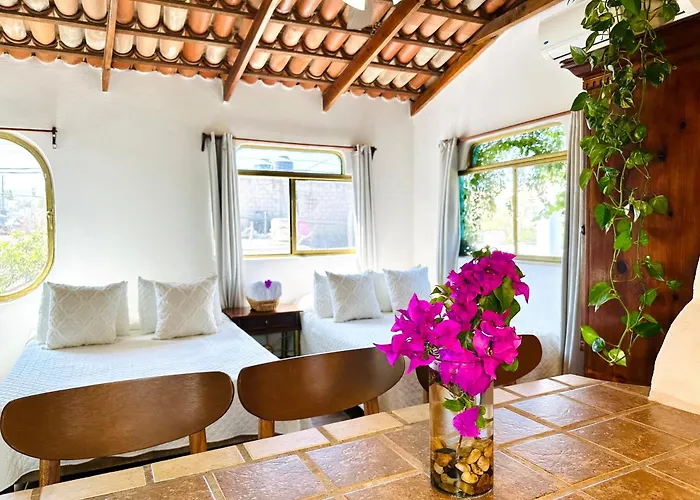 Apartment Cabo Bohemia Tropical Garden Cabo San Lucas