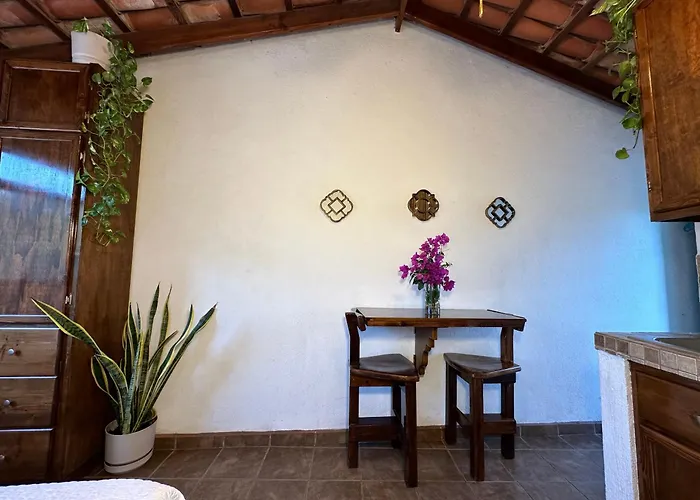 Apartment Cabo Bohemia Tropical Garden *