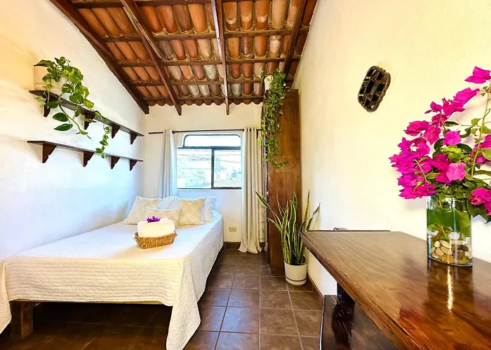 Apartment Cabo Bohemia Tropical Garden *